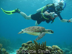 Pic taken at Bonaire Netherland, Antilles. Camera used wa... by Scottie Smith 